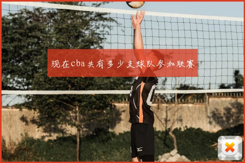 现在cba共有多少支球队参加联赛